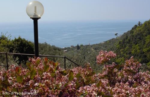 Recco House | Azalea