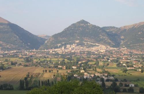 Monteluiano House | Azienda Agraria Montelujano