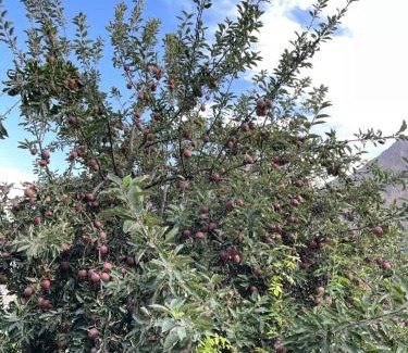 Hunza Hotel | Azul Cottages, Hunza