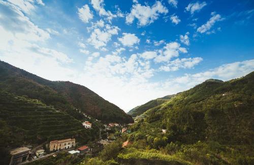 Pucara Bed & Breakfast | B&B Bouganville