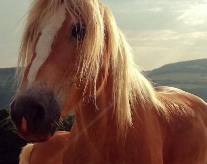 Nord-Est Bed & Breakfast | B&B Cà Montemezzano