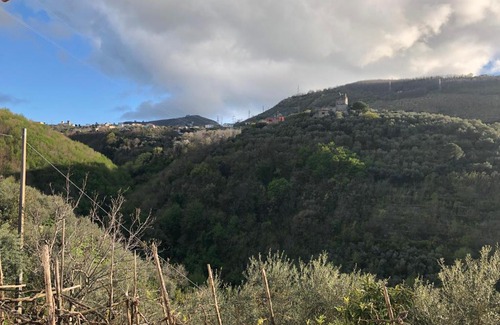 Vico Equense Bed & Breakfast | B&B Cosy Room