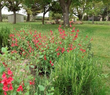 Saint-Quentin-la-Poterie Bed & Breakfast | B&B et Gite d'ayran