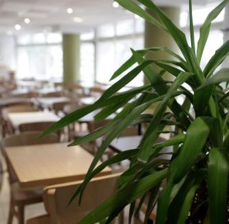 Malakoff Hotel | B&B HOTEL Paris Malakoff Parc des Expositions