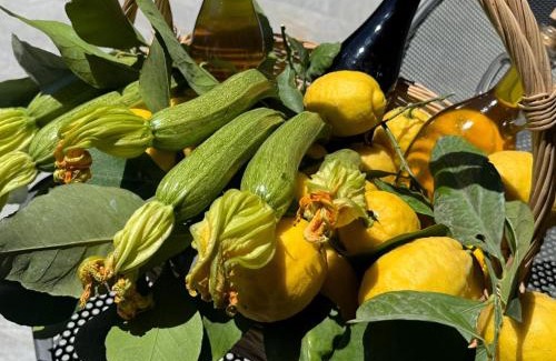 Vico Equense Bed & Breakfast | B&B I Gattoni