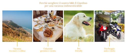 Tavullia Bed & Breakfast | B&B Il Giardino