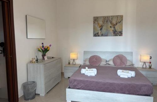 Albate Bed & Breakfast | B&B IL TULIPANO