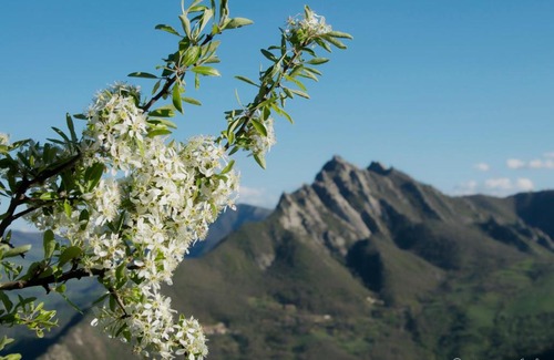 Albano di Lucania Bed & Breakfast | B&B La Bella Vista