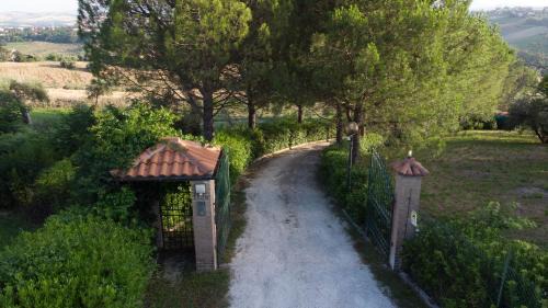 Jesi Bed & Breakfast | B&B La Figuretta