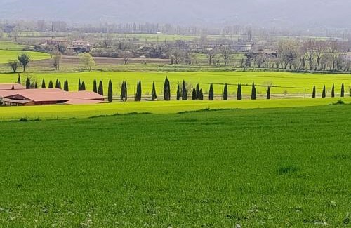 Greccio Bed & Breakfast | B&B Le Cementine