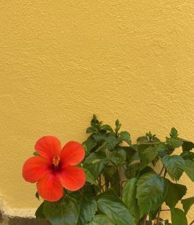 Lancusi Bed & Breakfast | B&B Le Cinque Porte