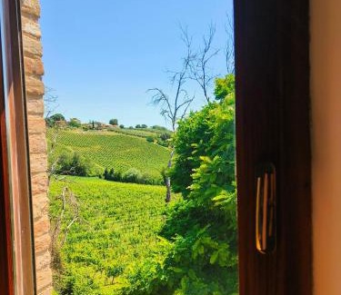 Castelplanio Bed & Breakfast | B&B Nel Vigneto