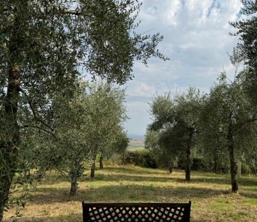 Montalcino House | B&B Podere Cottimellino - Montalcino - Val d'Orcia