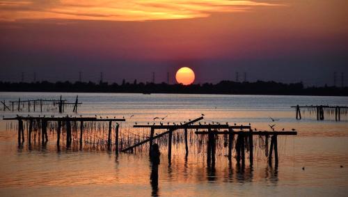 Ca' Venier Bed & Breakfast | B&B Tenuta della Duchessa