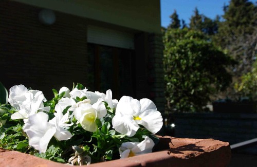 Foligno Bed & Breakfast | B&B Tre Conigli sul Comò