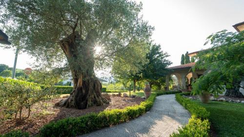 Fermignano Bed & Breakfast | B&B Ulivo del Duca