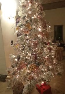 Carpi Bed & Breakfast | B&B Villa delle Palme