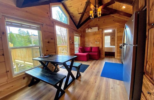 Twin Mountain Cabin | B3 Awesome "Tiny Home" A/C, Mountain Views, Minutes to Skiing, Hiking, Attractions, Dog Friendly!