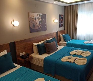 Artikli Hotel | Başar hotel