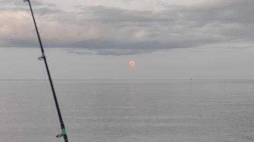 Lang Suan House | Baan rabianglay 1