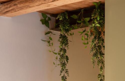 Bassano del Grappa Bed & Breakfast | BACARìA BED&BREAKFAST