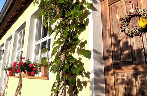 Hauenstein Apartment | BACKELBÜ - our dearest stay for guests in Hauenstein