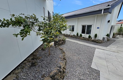 Seogwipo City House | Baerongnamu Private Stay