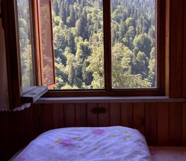 Ayder Yaylasi Apartment | BAHAR APART