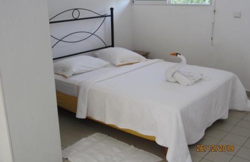 Douville Hotel | BALAGA ocarina