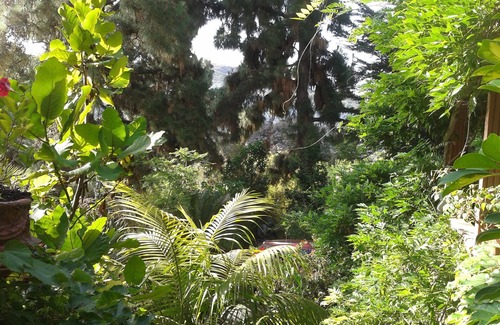 Santa Brigida Cottage | BAMBU VACATION HOME, (A SPLENDID GARDEN)