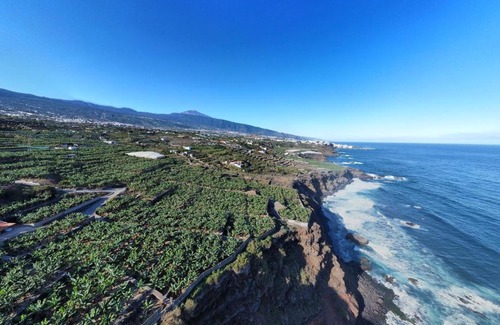 La Orotava House | Banana Paradise