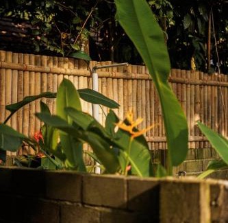 Batu Karas Hotel | Banana surf and stay