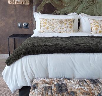 White River Apartment | Bannockburn Guest Cottage