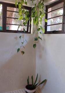 White River Apartment | Bannockburn Guest Cottage