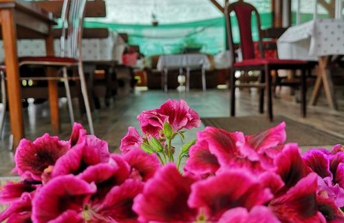 Ditrau Bed & Breakfast | Barátság Panzió - Pensiunea Barátság