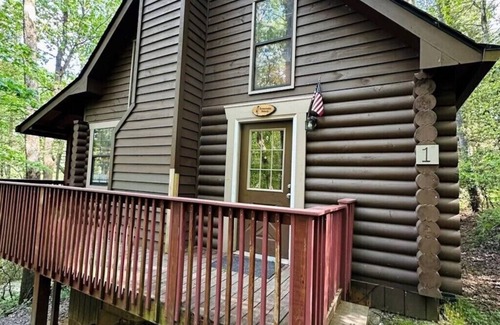 Blairsville Cabin | Bare Necessities-Gorgeous Two-Story Cabin in the North Georgia Mountains!