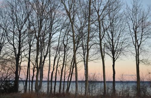 Glen Arbor House | Barefootin on M22