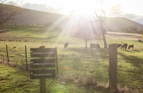Mansfield House | Baringa Cottage