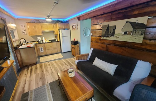 Dubuque House | Barn-dominium living experience w/park view, adjustable bed, 4-seasons room