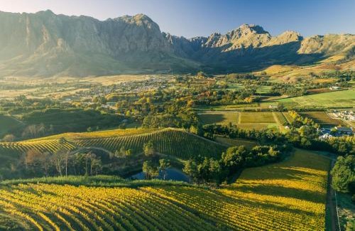 Cape Winelands Apartment | Bartinney Private Cellar Banhoek