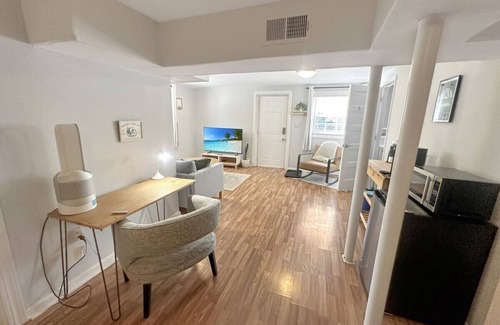 Downtown Condo | Basement Studio | Downtown, Yard & Pet Friendly (49)