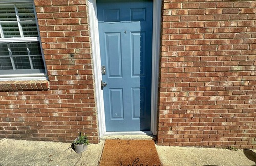 Downtown Condo | Basement Studio | Downtown, Yard & Pet Friendly (49)