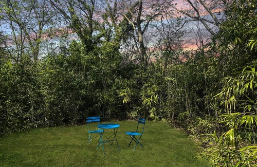 Downtown Condo | Basement Studio | Downtown, Yard & Pet Friendly (49)