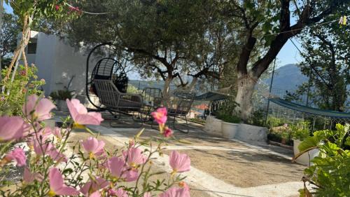 Spanokhorion House | Basil & Guest House