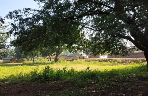 Chhotekawali House | Bastar homestays! Satyendras Cottage! Tribal to its core!