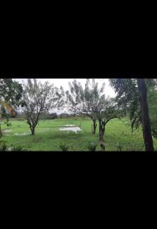 Ibbagamuwa Hotel | Bathalagoda walauwa