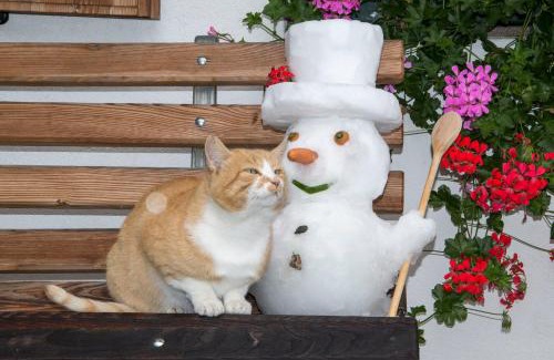 Valle San Silvestro Apartment | Baumannhof