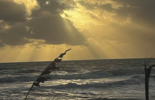 Port Saint Lucie Apartment | Beach and Mets in minutes!