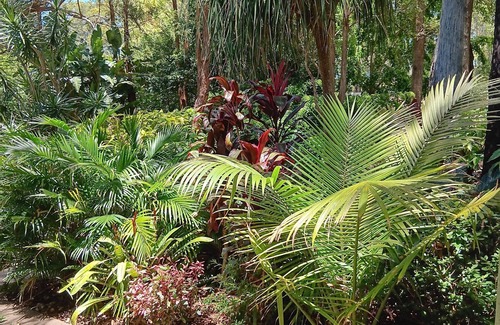 Crescent Head Apartment | Beach/farm stay, 3 mins to the beach. Small acerage with lush gardens & wildlife