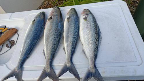 Arkles Bay House | Beachfront Beauty